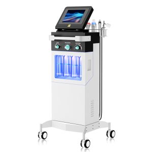 HR-M30 10 in 1 Hydra Dermabrasion vertical hydra facial machine Multifunctional Facial Deep Cleansing Skin Lifting Salon Equipment