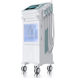 W9001 9 In 1 Vertical Hydra Dermabrasion Facial Machine Multi-Function Hydro Facial Spa Equipment